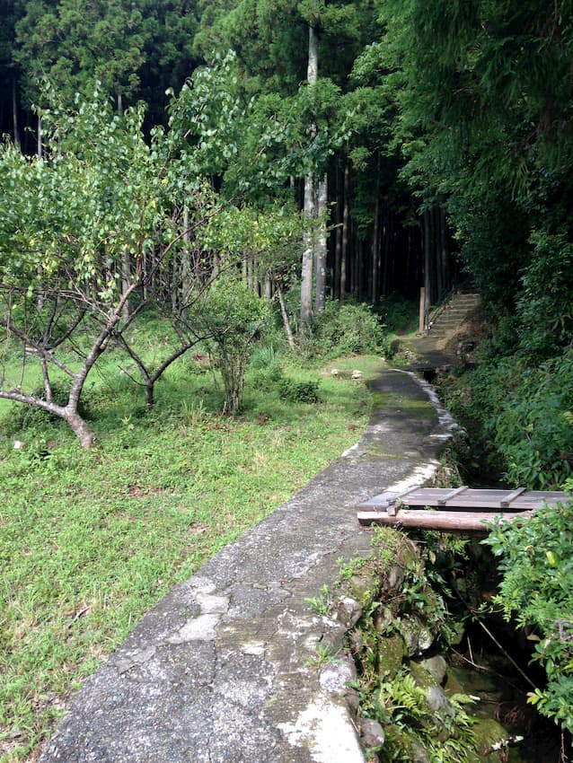熊野古道3