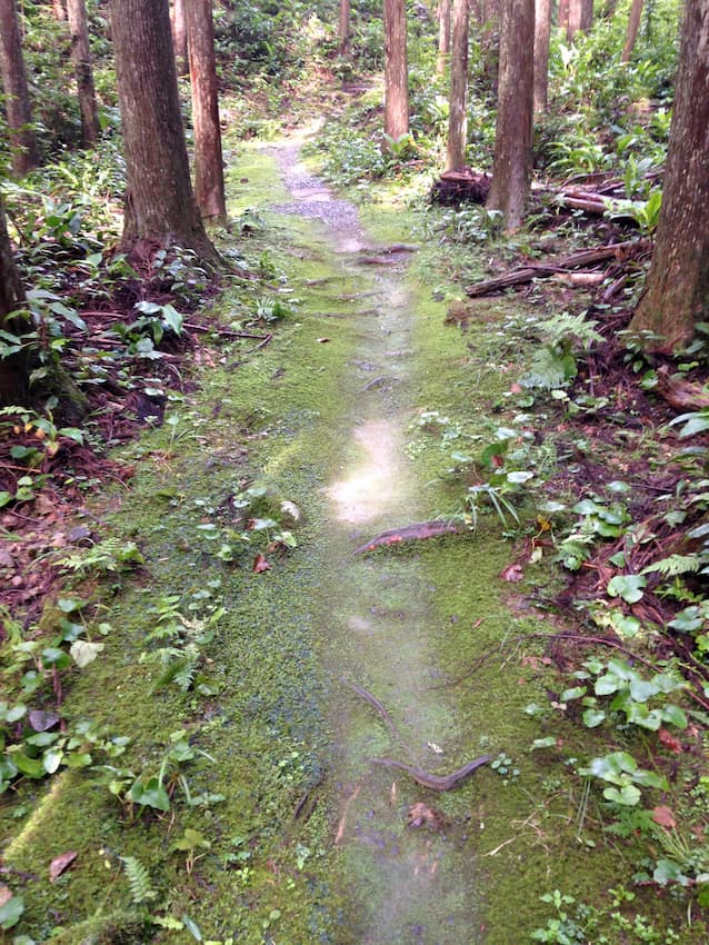 熊野古道5