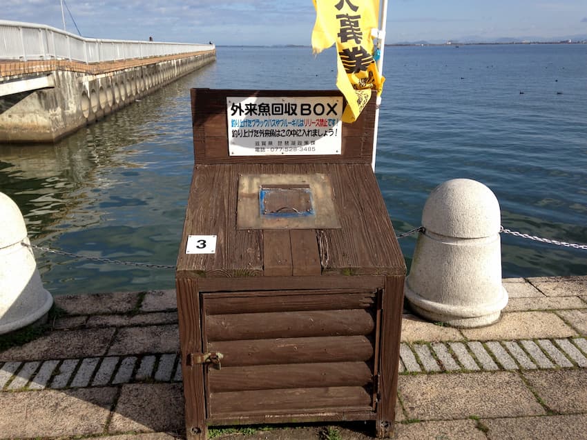 琵琶湖3