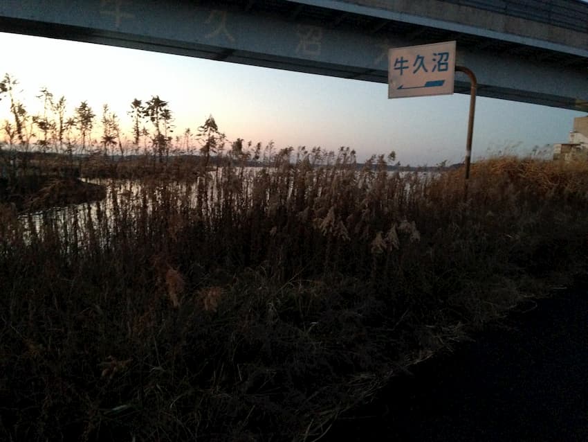牛久沼