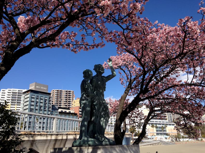 梅