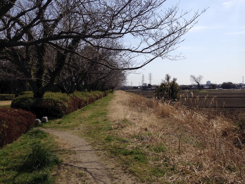 北五井緑道