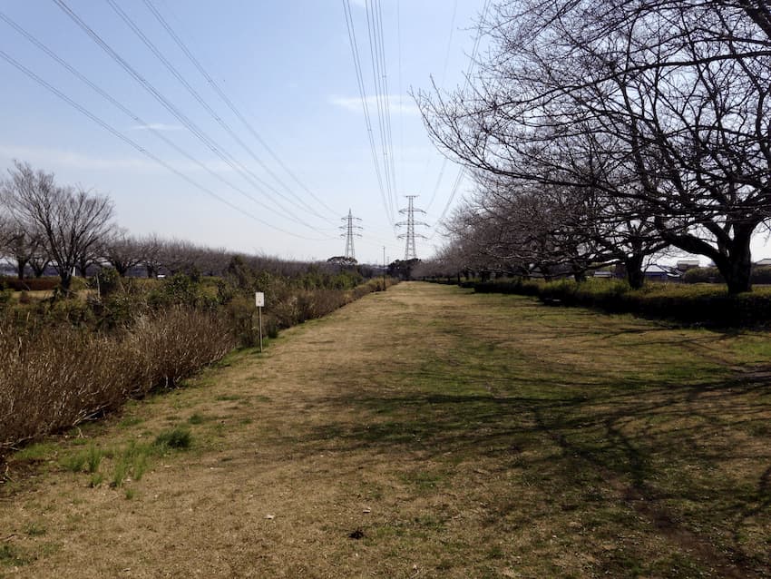 北五井緑道