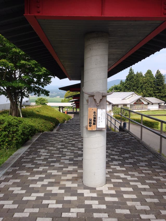 牛の博物館