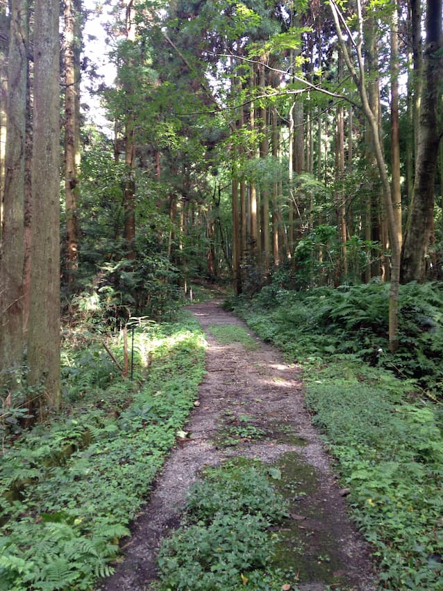 伝説のモーゼパーク