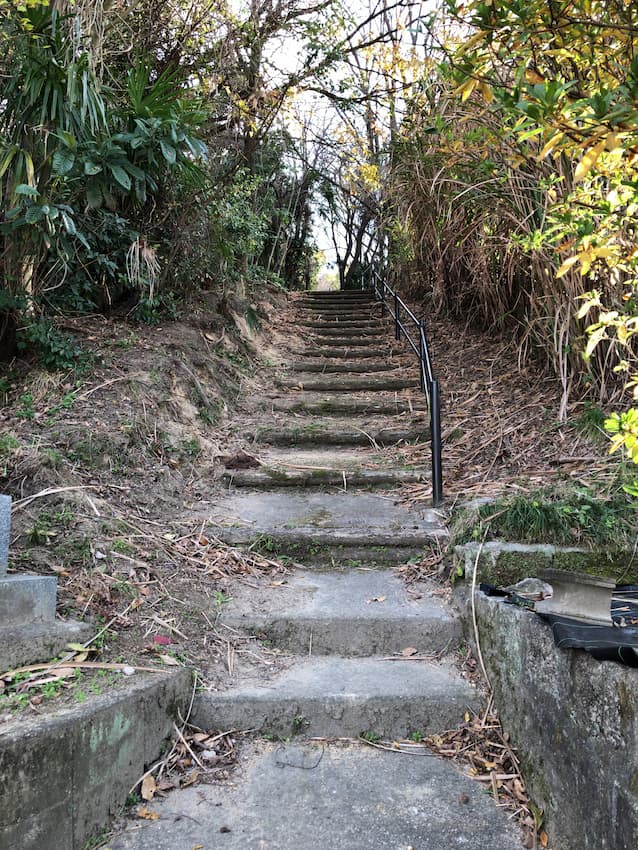 坂町ふるさと自然のみち