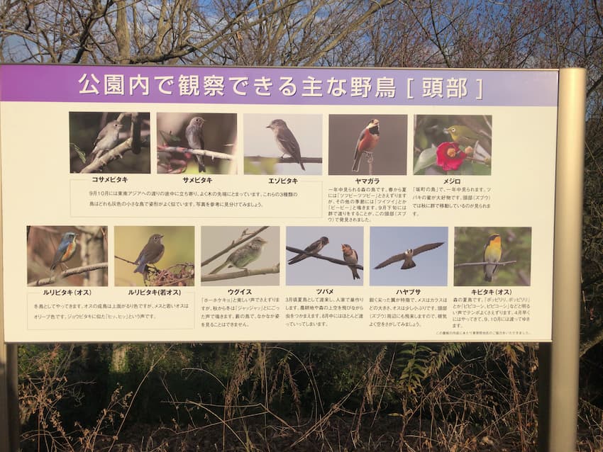 坂町ふるさと自然のみち