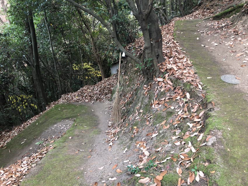 坂町ふるさと自然のみち