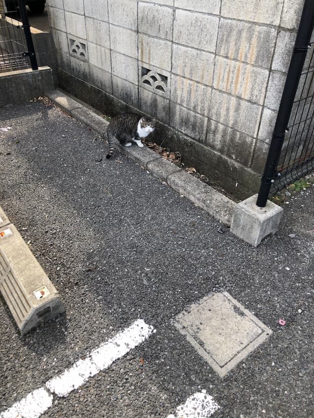 街並み