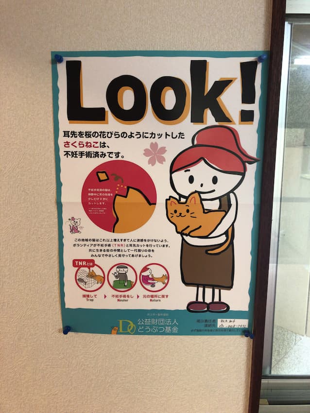 安久温泉