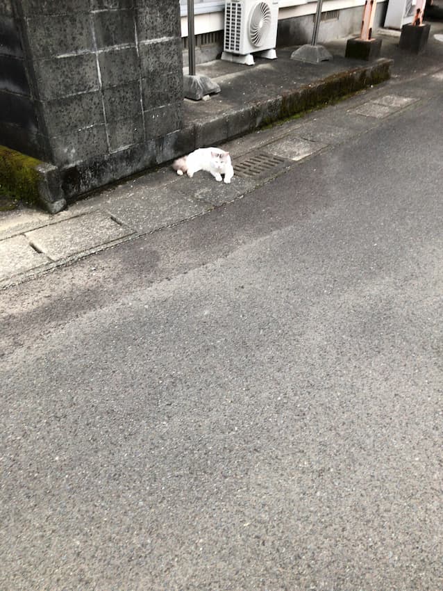 街並み