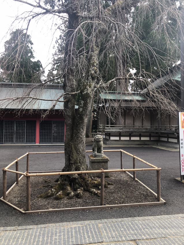 志波彦神社・鹽竈神社