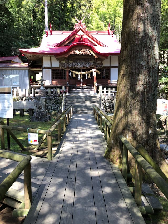 日本一の大杉