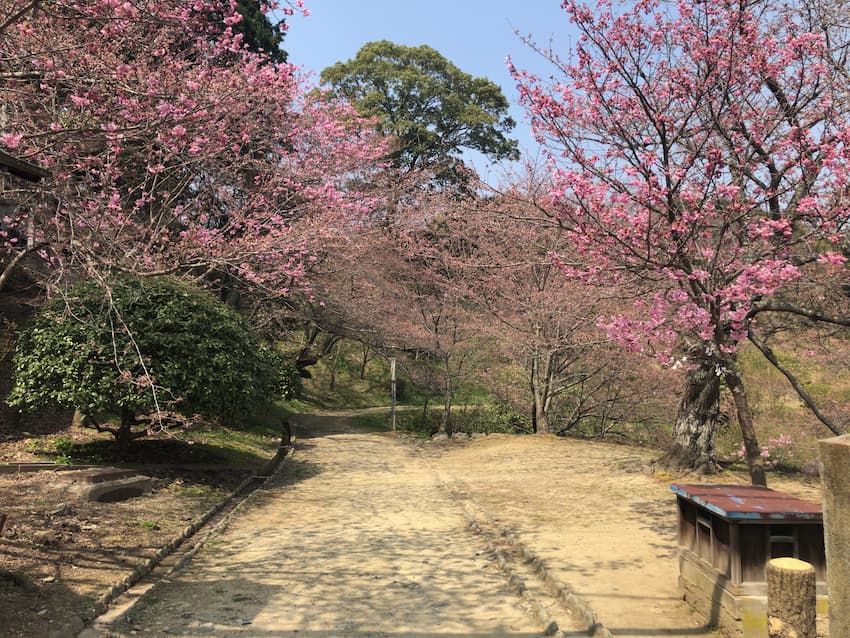 金比羅宮