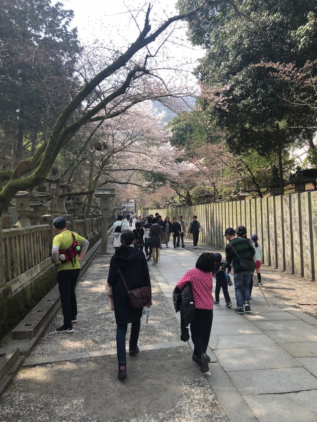 金比羅宮