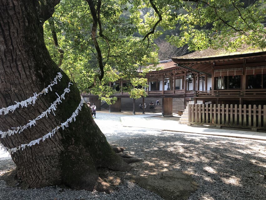 金比羅宮