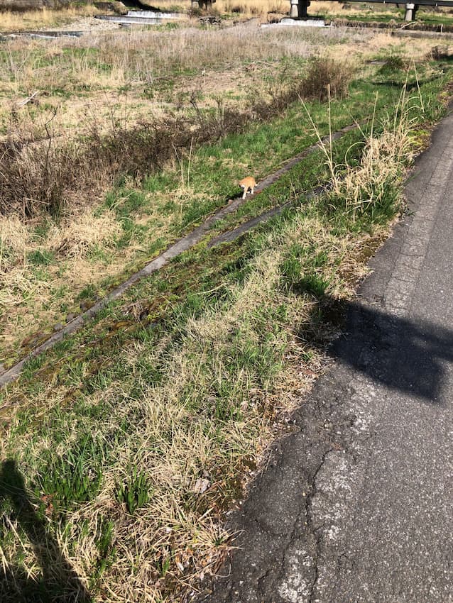 街並み