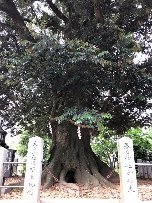 街並み