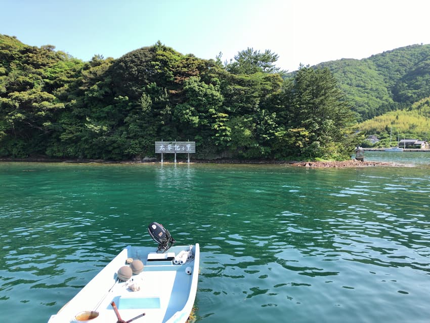 海