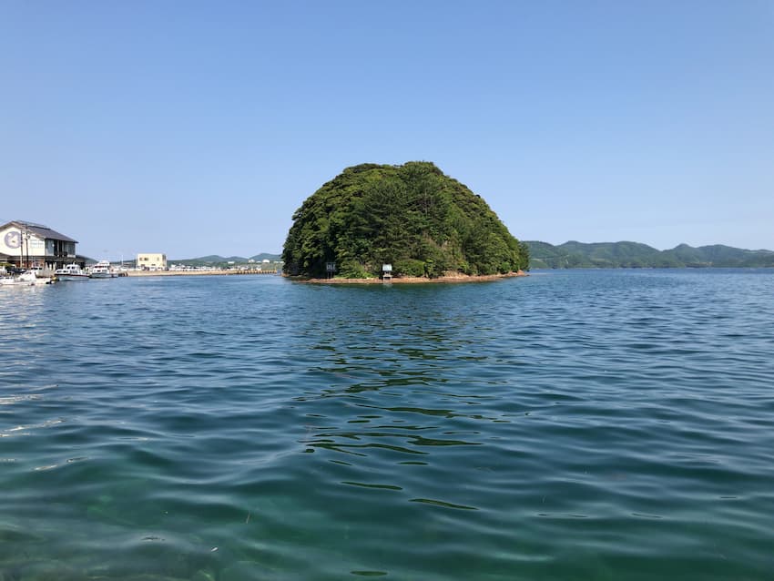 海