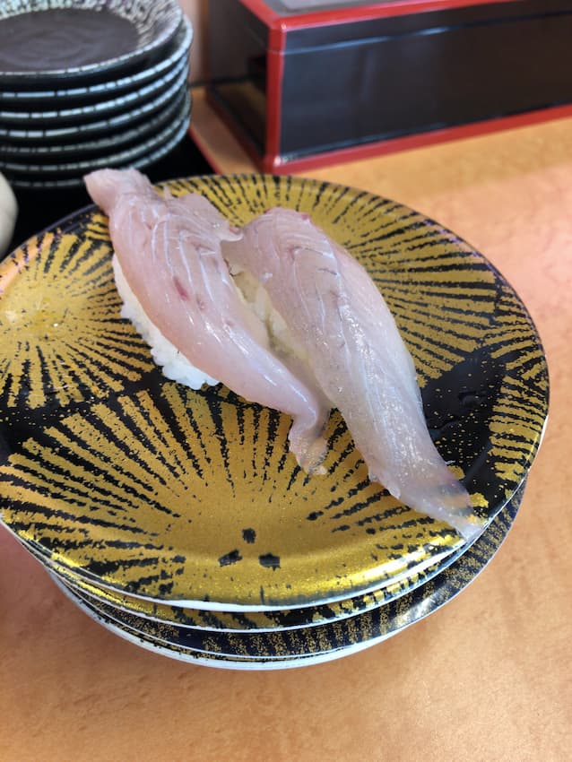 サワラ