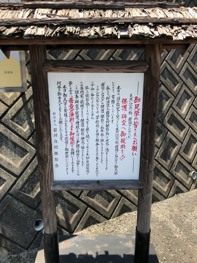 白蛇神社