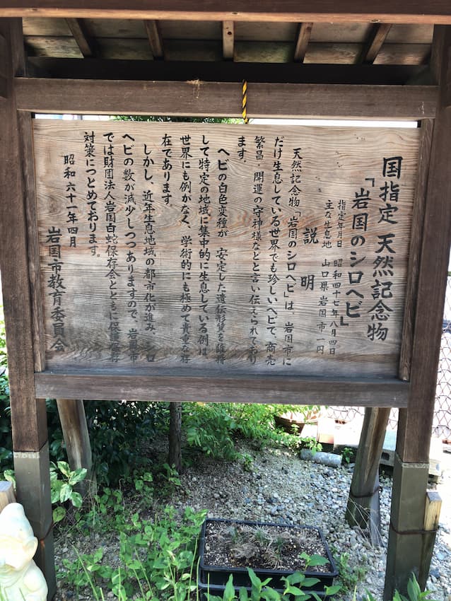 白蛇神社