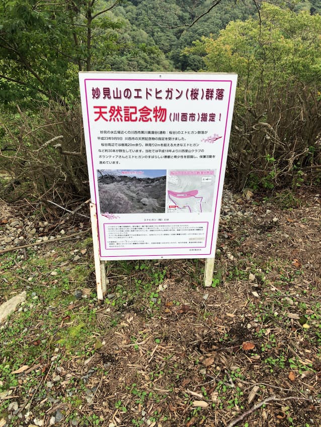 妙見の森