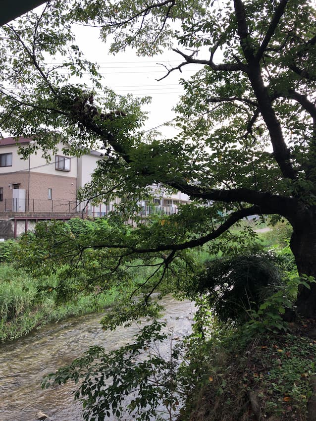 街並み
