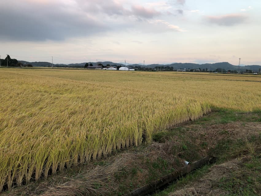 街並み