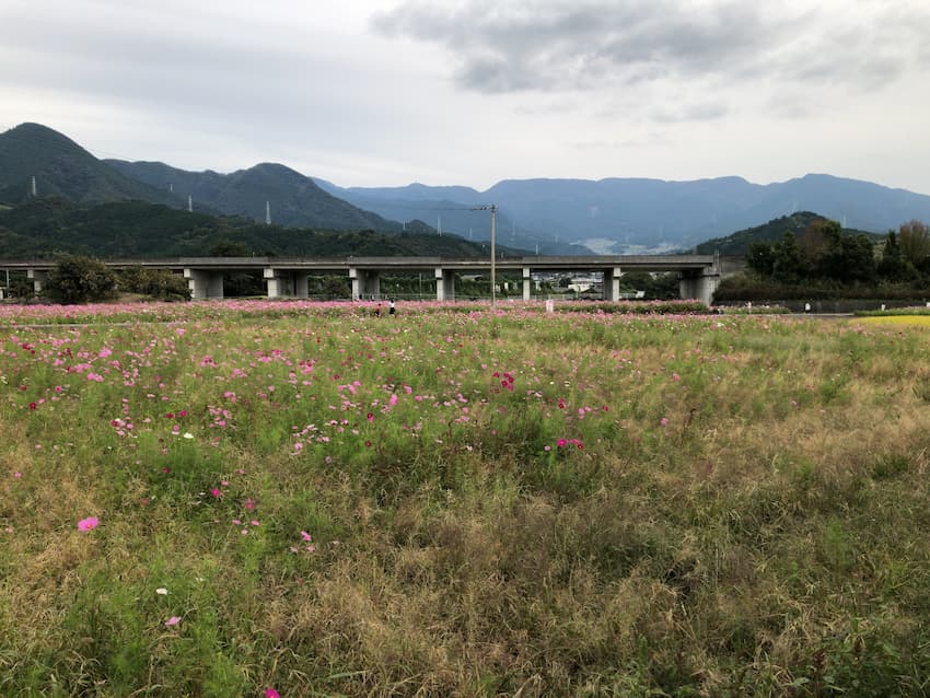 街並み
