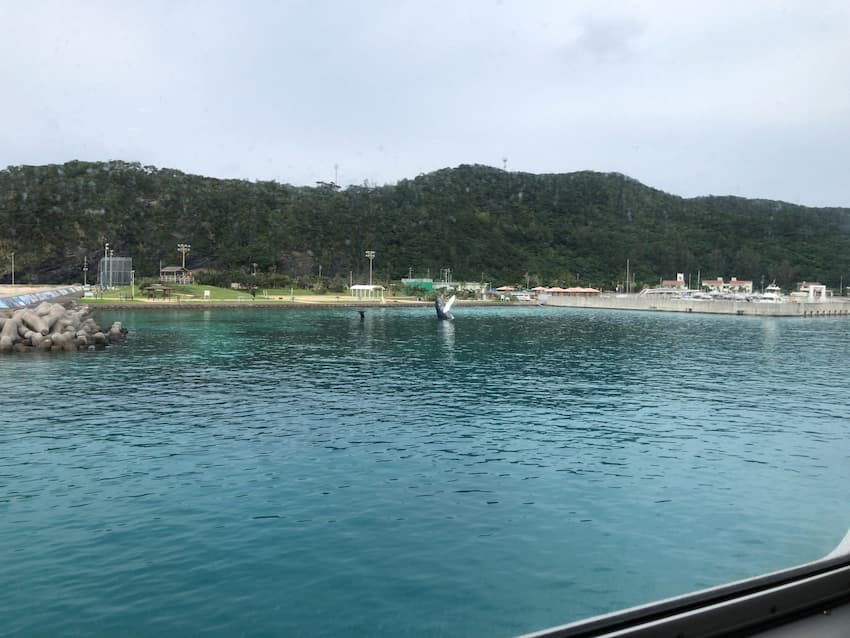 海