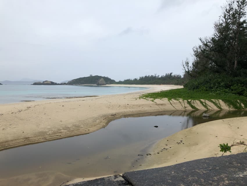 海