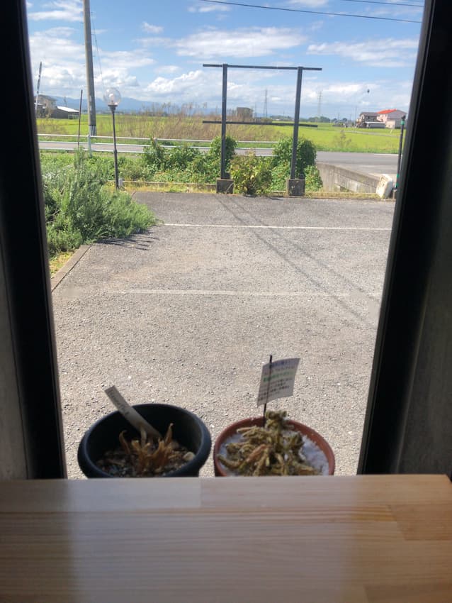内観