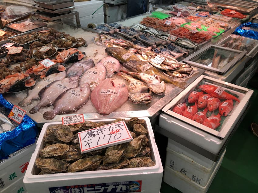魚