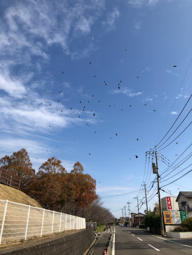 街並み