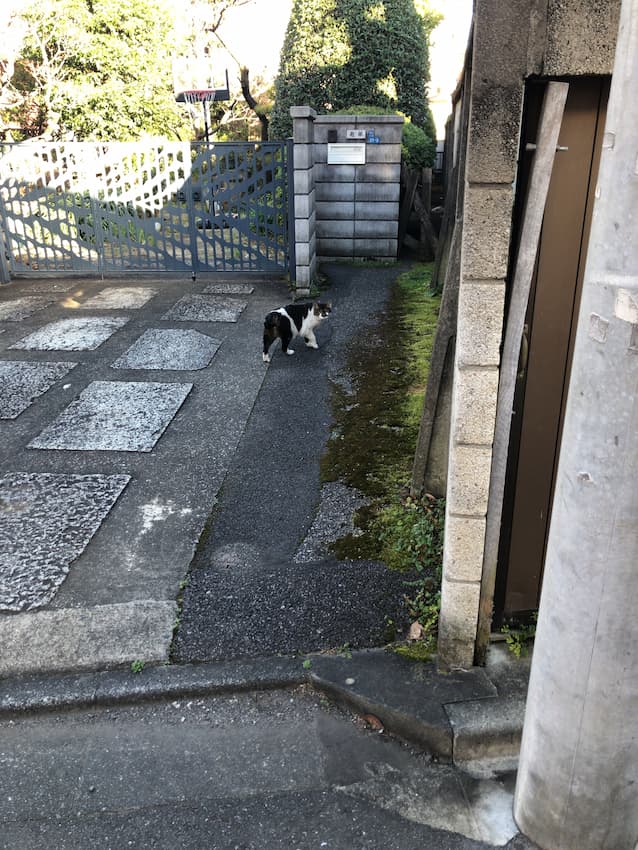 街並み
