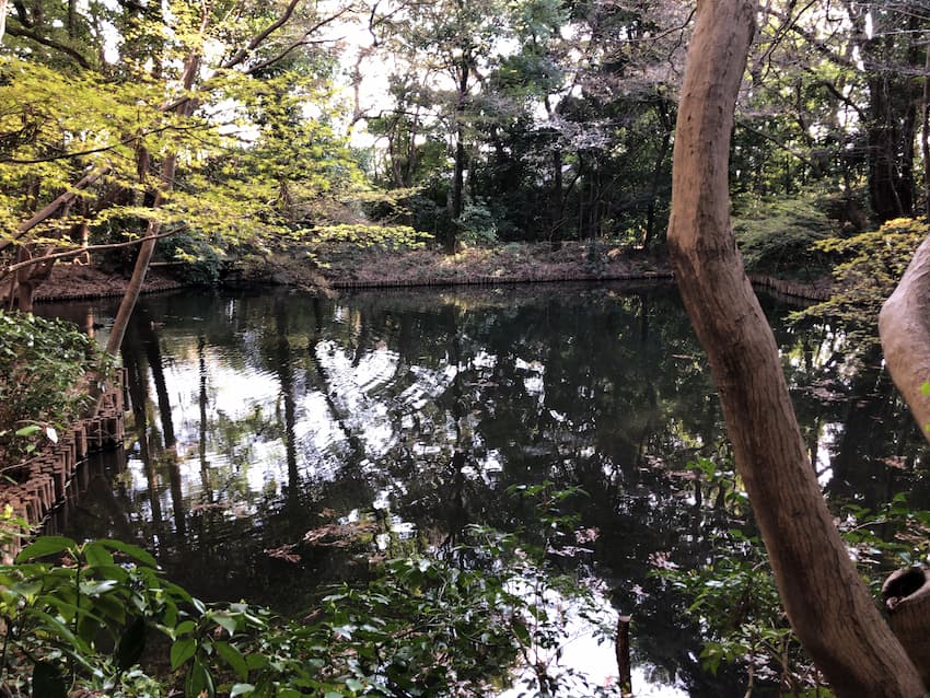 滄浪泉園緑地