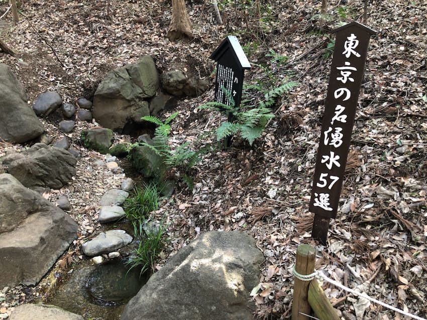 滄浪泉園緑地