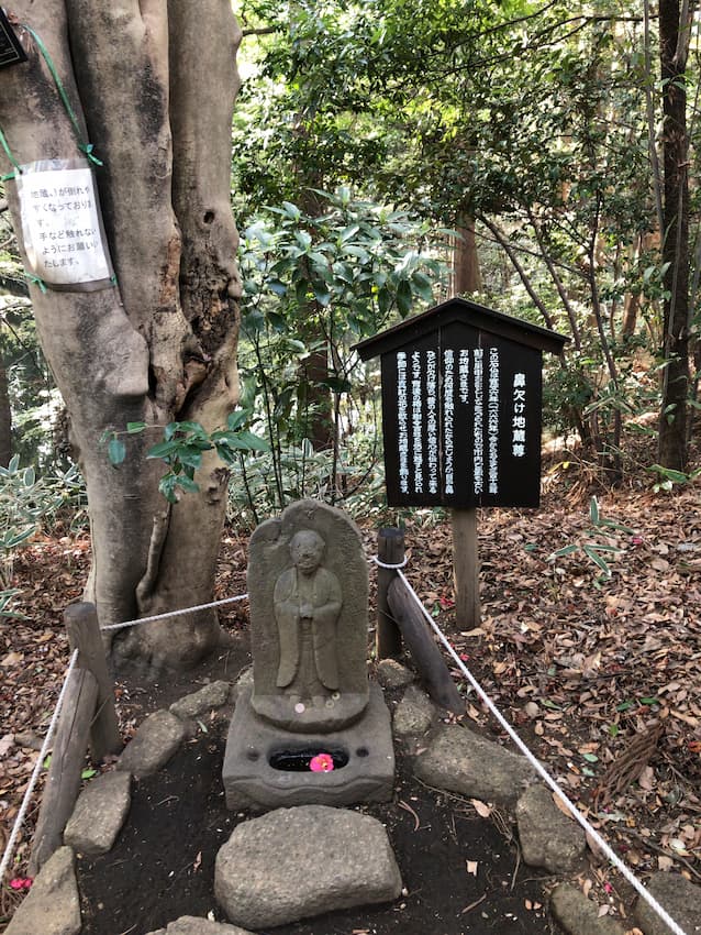 滄浪泉園緑地
