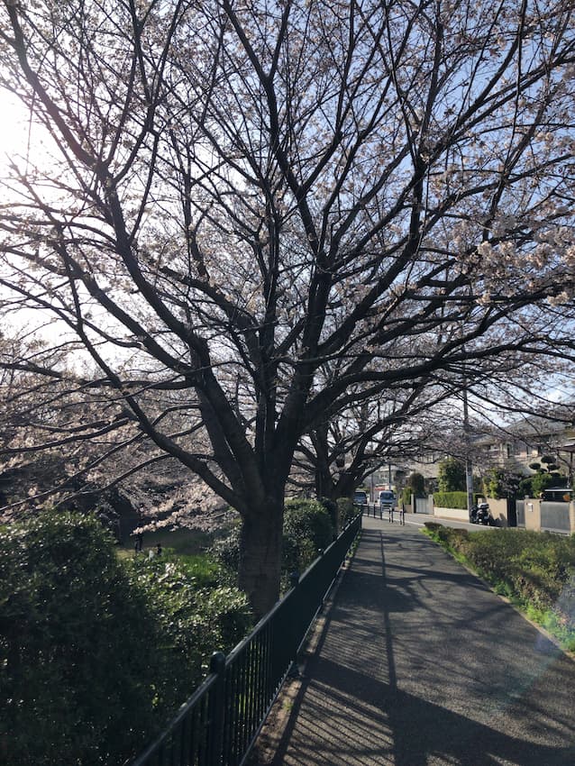 街並み