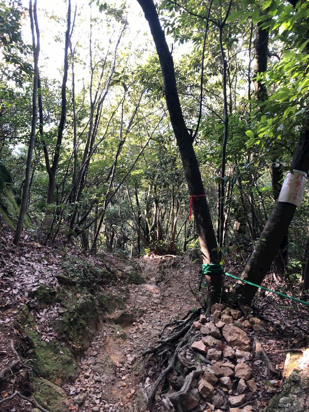 馬の背登山道