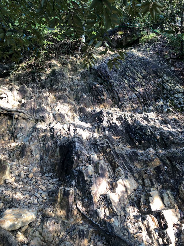 馬の背登山道